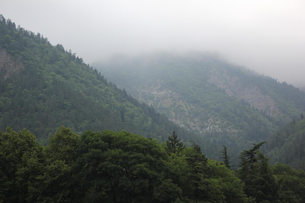 Firuza Hostel Borjomi Exterior photo